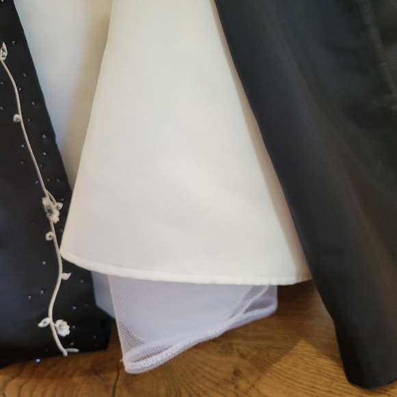 Formal Ballgown! - Picture 7 of 12